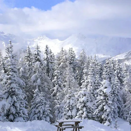 Des Domaines De La Vanoise Peisey-Nancroix